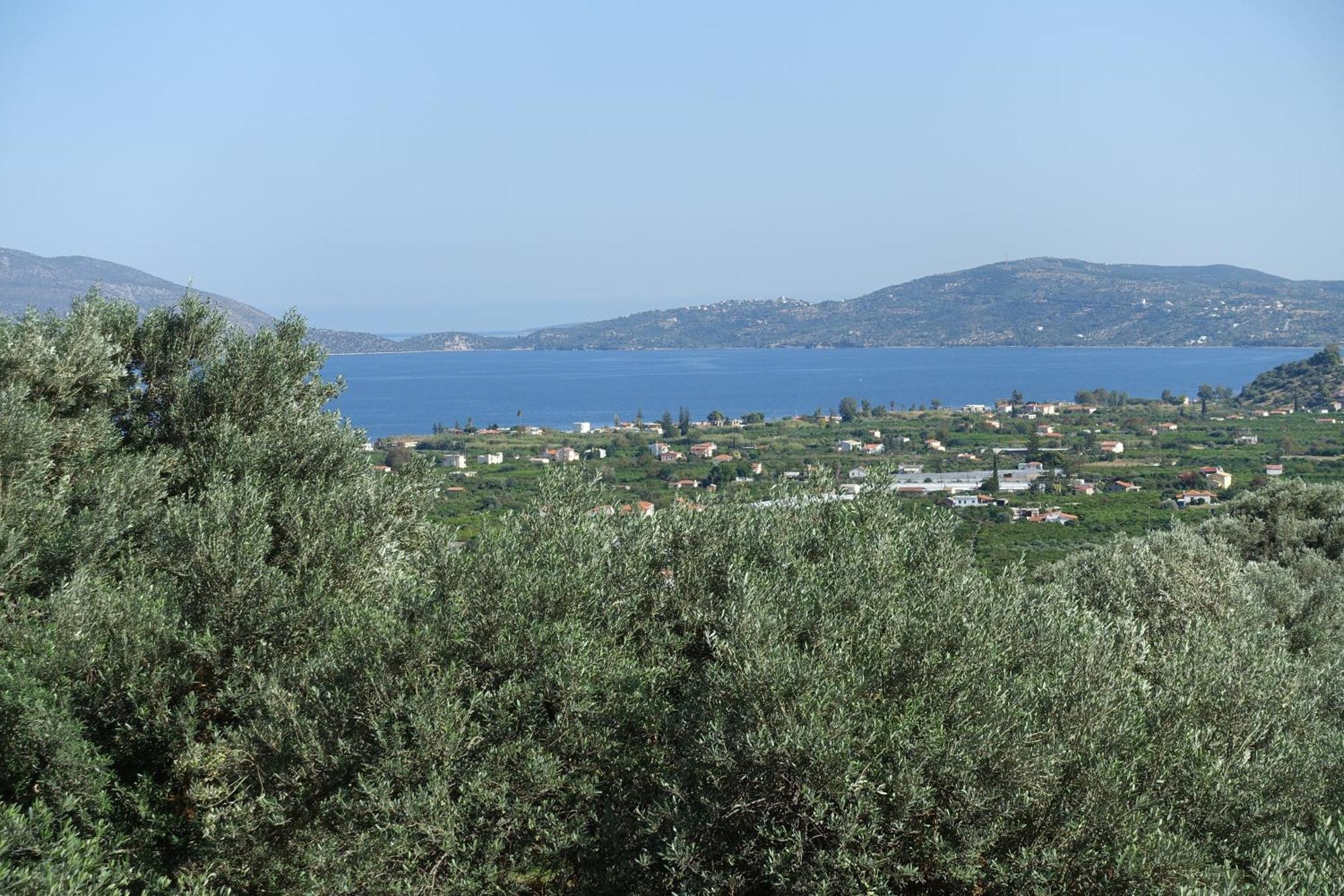 Studio In Villa In Kalloni Direkt Am Meer Kalloni (Peloponnese) Exterior foto